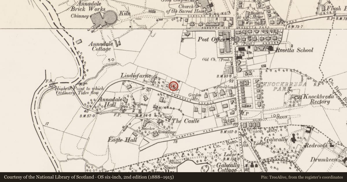Ordnance Survey six-inch map, 2nd edition (1888–1915) covering the location of 25-25A Annadale Avenue, Belfast, with a pin at the register's coordinates