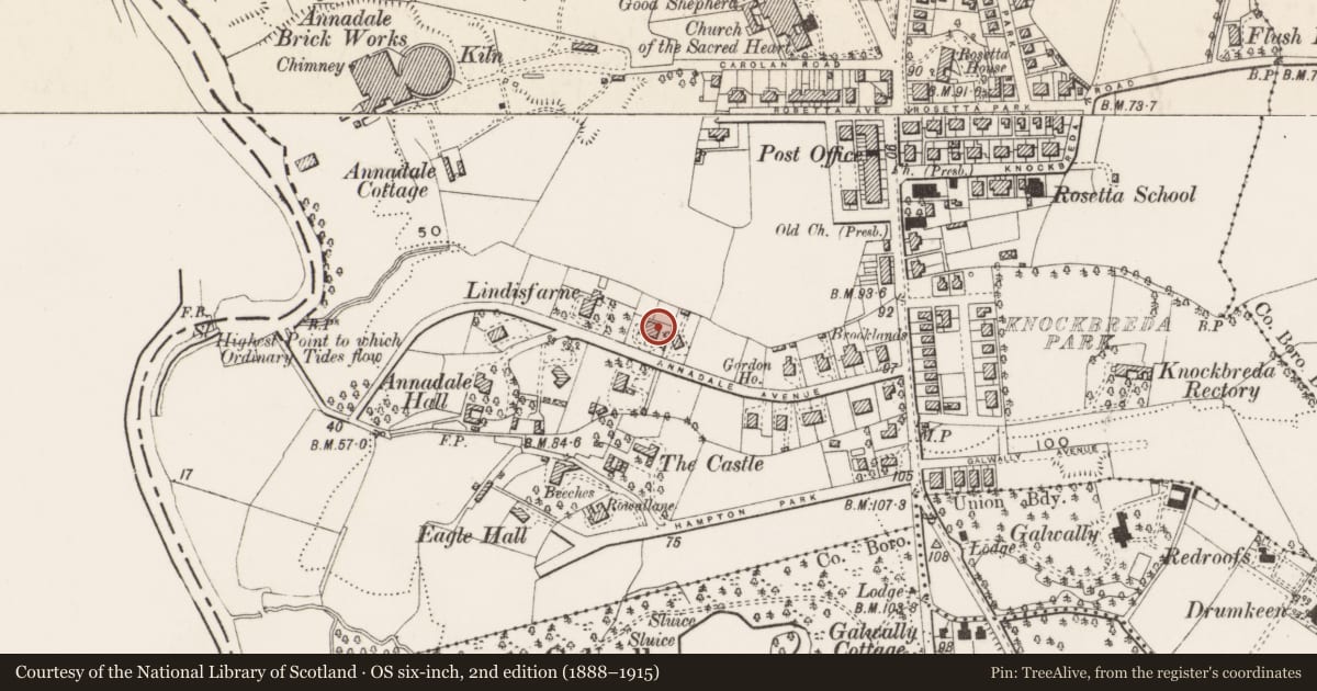 Ordnance Survey six-inch map, 2nd edition (1888–1915) covering the location of 27 Annadale Avenue, Belfast, with a pin at the register's coordinates