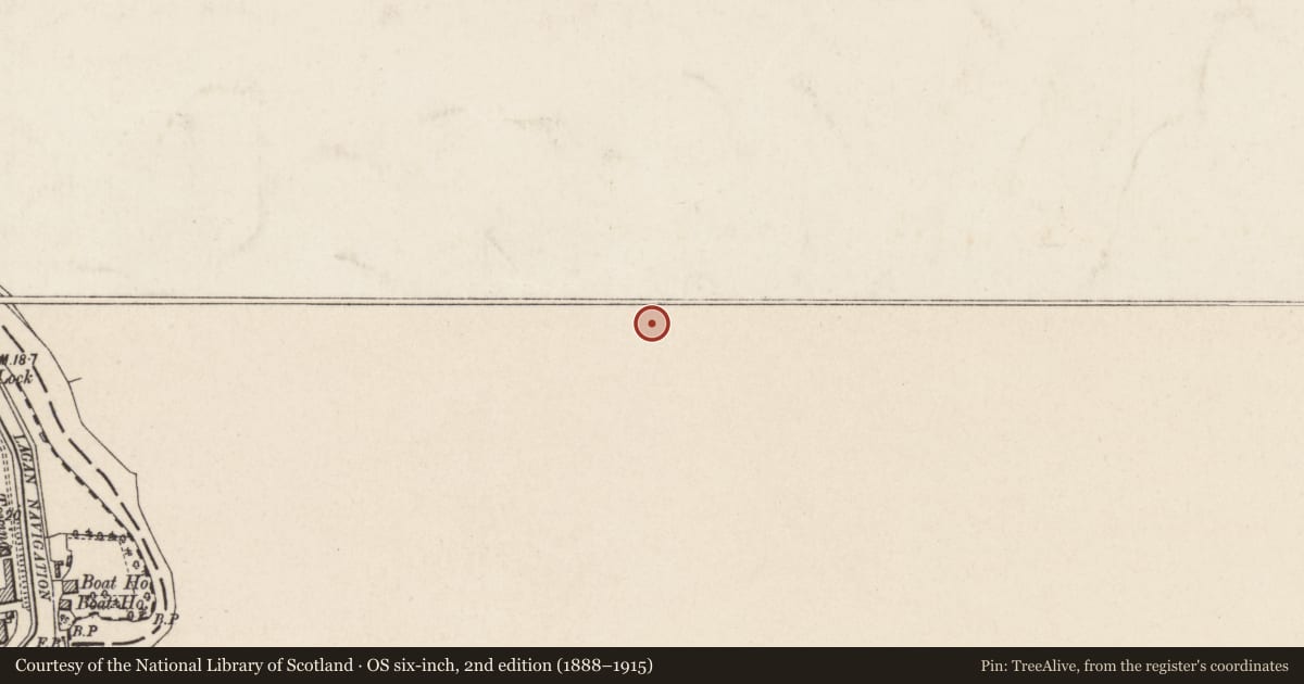 Ordnance Survey six-inch map, 2nd edition (1888–1915) covering the location of CHAPEL, Belfast, with a pin at the register's coordinates