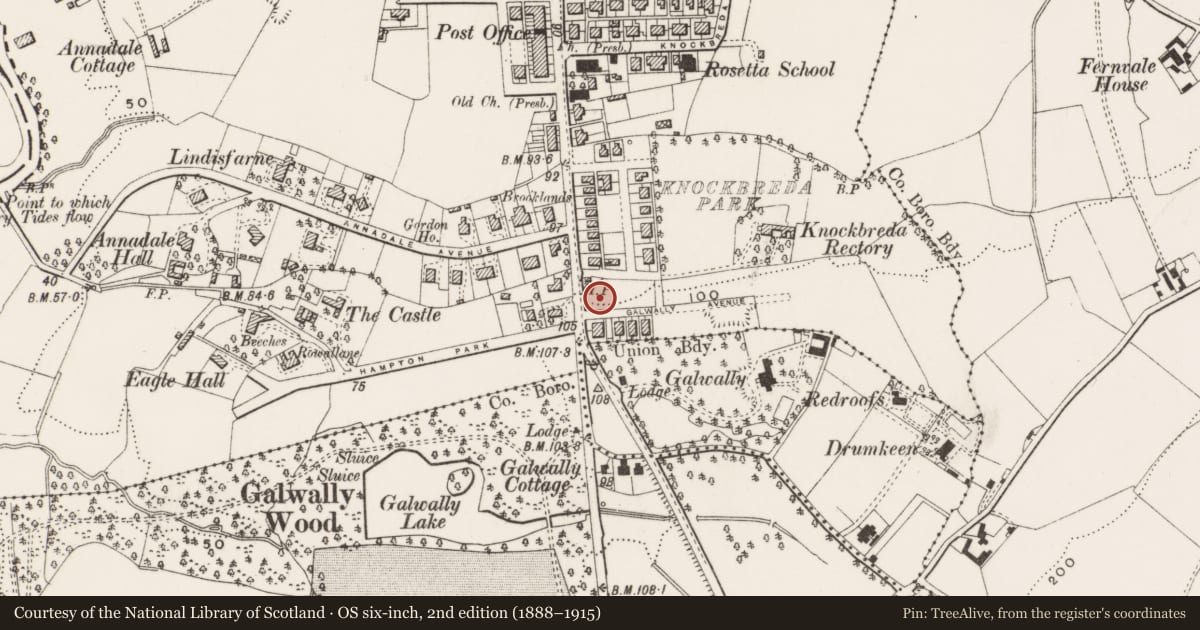 Ordnance Survey six-inch map, 2nd edition (1888–1915) covering the location of Post Box, Galwally, Belfast, with a pin at the register's coordinates