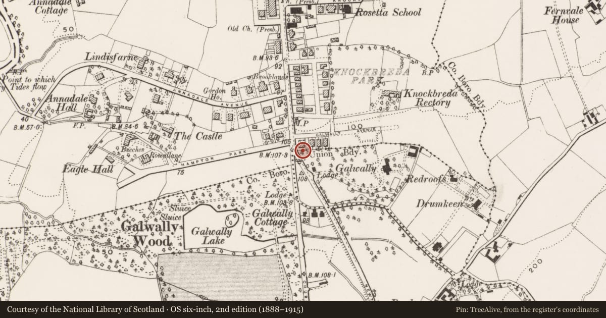 Ordnance Survey six-inch map, 2nd edition (1888–1915) covering the location of Boundary Post outside 450 Ormeau Road, Ballynafoy, Belfast, with a pin at the register's coordinates