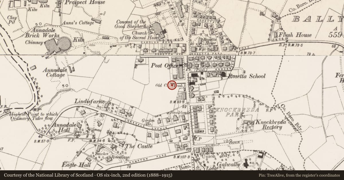 Ordnance Survey six-inch map, 2nd edition (1888–1915) covering the location of 12 St. Johns Avenue, Ballynafoy, Belfast, with a pin at the register's coordinates