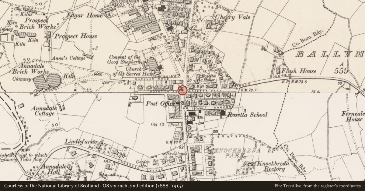 Ordnance Survey six-inch map, 2nd edition (1888–1915) covering the location of Street Sign on corner of Rosetta Avenue and Ormeay Road, Belfast, Ballynafoy, Belfast, with a pin at the register's coordinates