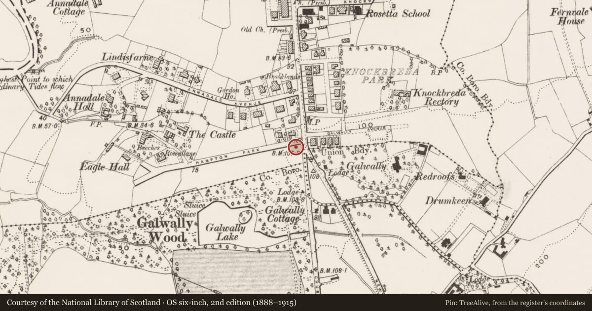 Ordnance Survey six-inch map, 2nd edition (1888–1915) covering the location of Road sign on corner of Hampton Park and Ormeau Road, with a pin at the register's coordinates