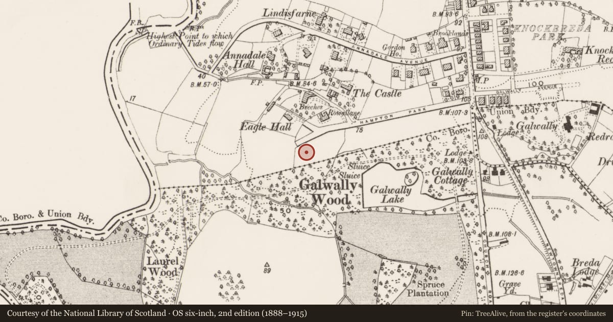 Ordnance Survey six-inch map, 2nd edition (1888–1915) covering the location of 46 Hampton Park, Galwally, Belfast, with a pin at the register's coordinates