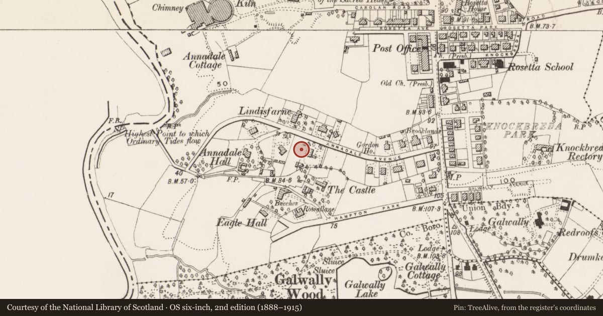 Ordnance Survey six-inch map, 2nd edition (1888–1915) covering the location of Church of Jesus Christ of Latter Day Saints, Galwally, Belfast, with a pin at the register's coordinates