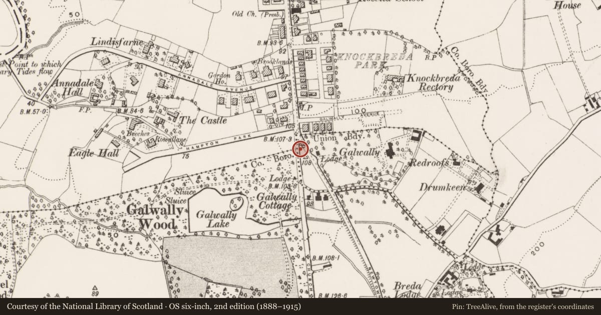Ordnance Survey six-inch map, 2nd edition (1888–1915) covering the location of Parliamentary Boundary Post, Breda, Belfast, with a pin at the register's coordinates