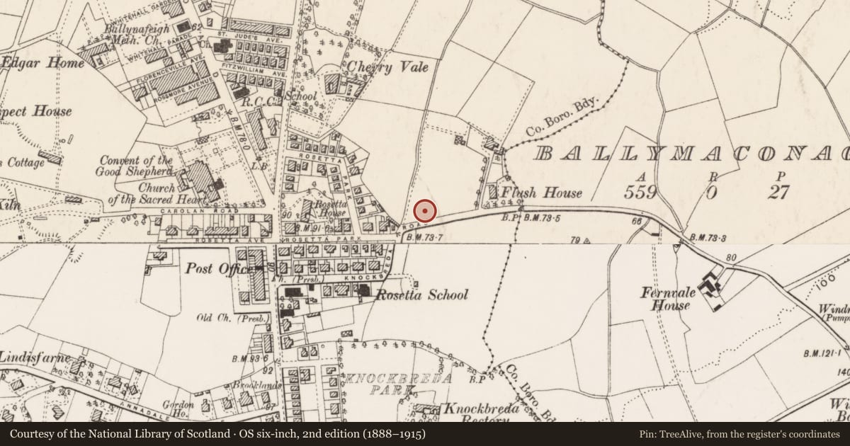 Ordnance Survey six-inch map, 2nd edition (1888–1915) covering the location of Post Box, Ballynafoy, Belfast, with a pin at the register's coordinates