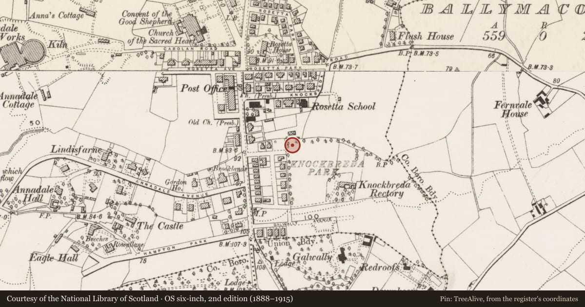 Ordnance Survey six-inch map, 2nd edition (1888–1915) covering the location of 16 Knockbreda Park, Belfast, BT6 0HB, Belfast, with a pin at the register's coordinates