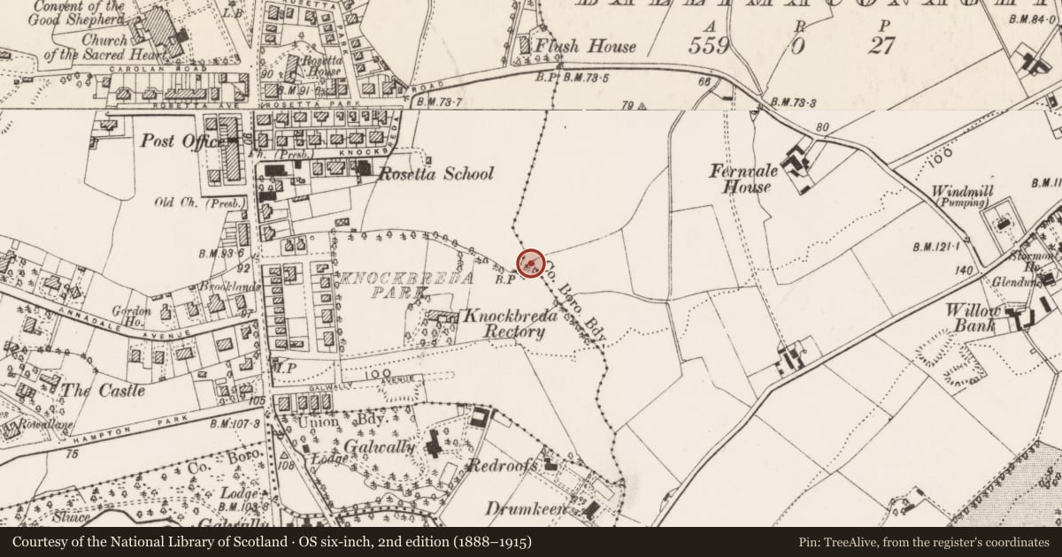 Ordnance Survey six-inch map, 2nd edition (1888–1915) covering the location of Parliamentary Boundary Posts in garden of 49 Queensberry Park, Ballynafoy, Belfast, with a pin at the register's coordinates