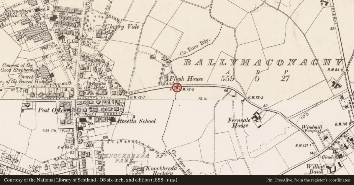 Ordnance Survey six-inch map, 2nd edition (1888–1915) covering the location of Parliamentary Boundary Post outside 97 Knockbreda Road, Ballynafoy, Belfast, with a pin at the register's coordinates