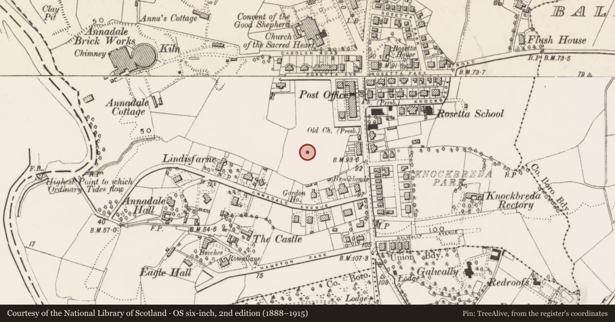Ordnance Survey six-inch map, 2nd edition (1888–1915) covering the location of 10 St Johns Park, Belfast, with a pin at the register's coordinates
