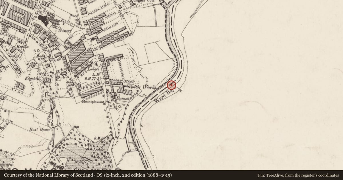 Ordnance Survey six-inch map, 2nd edition (1888–1915) covering the location of King's Bridge, Ballynafoy/Malone Lower, Belfast, with a pin at the register's coordinates