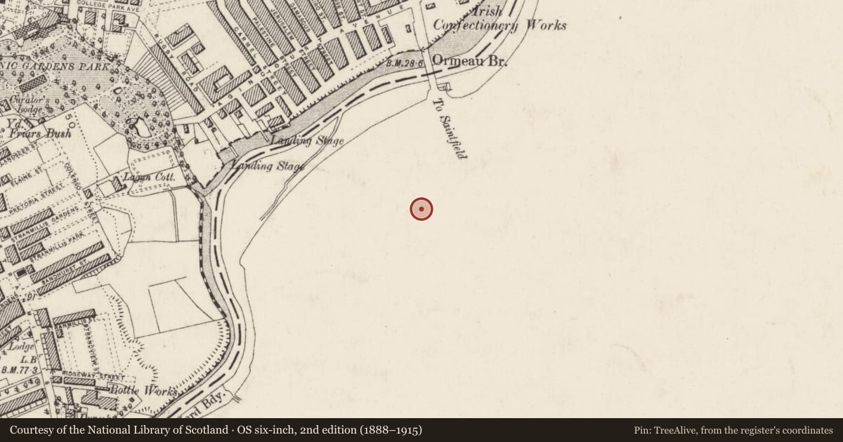 Ordnance Survey six-inch map, 2nd edition (1888–1915) covering the location of Buildings at 'Pilot Construction Ltd.', Ballynafoy, Belfast, with a pin at the register's coordinates