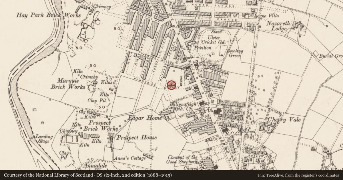 Ordnance Survey six-inch map, 2nd edition (1888–1915) covering the location of 45 Sunnyside Street, Ballynafoy, Belfast, with a pin at the register's coordinates