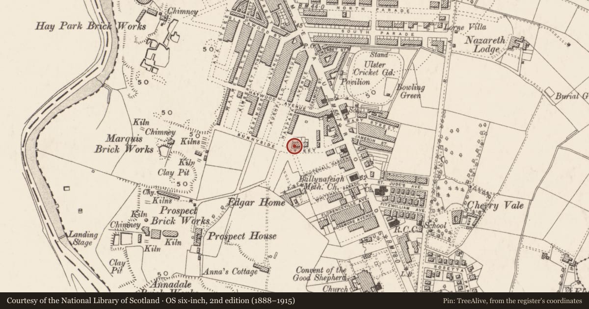 Ordnance Survey six-inch map, 2nd edition (1888–1915) covering the location of 53 Sunnyside Street, Ballynafoy, Belfast, with a pin at the register's coordinates