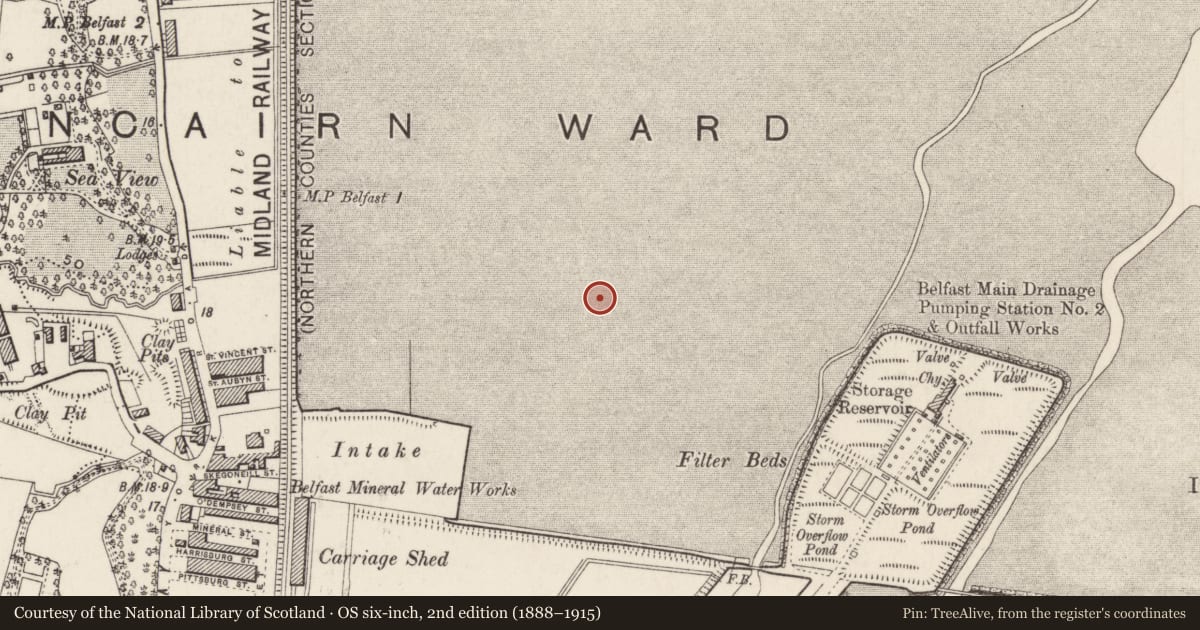 Ordnance Survey six-inch map, 2nd edition (1888–1915) covering the location of Jameson Street Sign, Ballynafoy, Belfast, with a pin at the register's coordinates