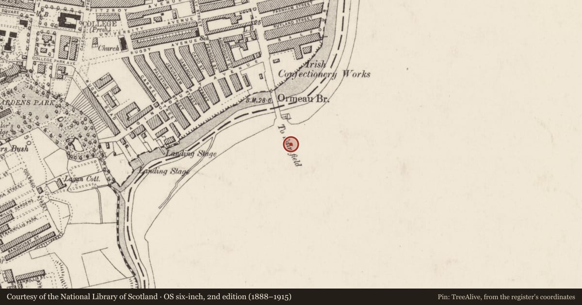 Ordnance Survey six-inch map, 2nd edition (1888–1915) covering the location of Main Entrance, Ballynafoy, Belfast, with a pin at the register's coordinates