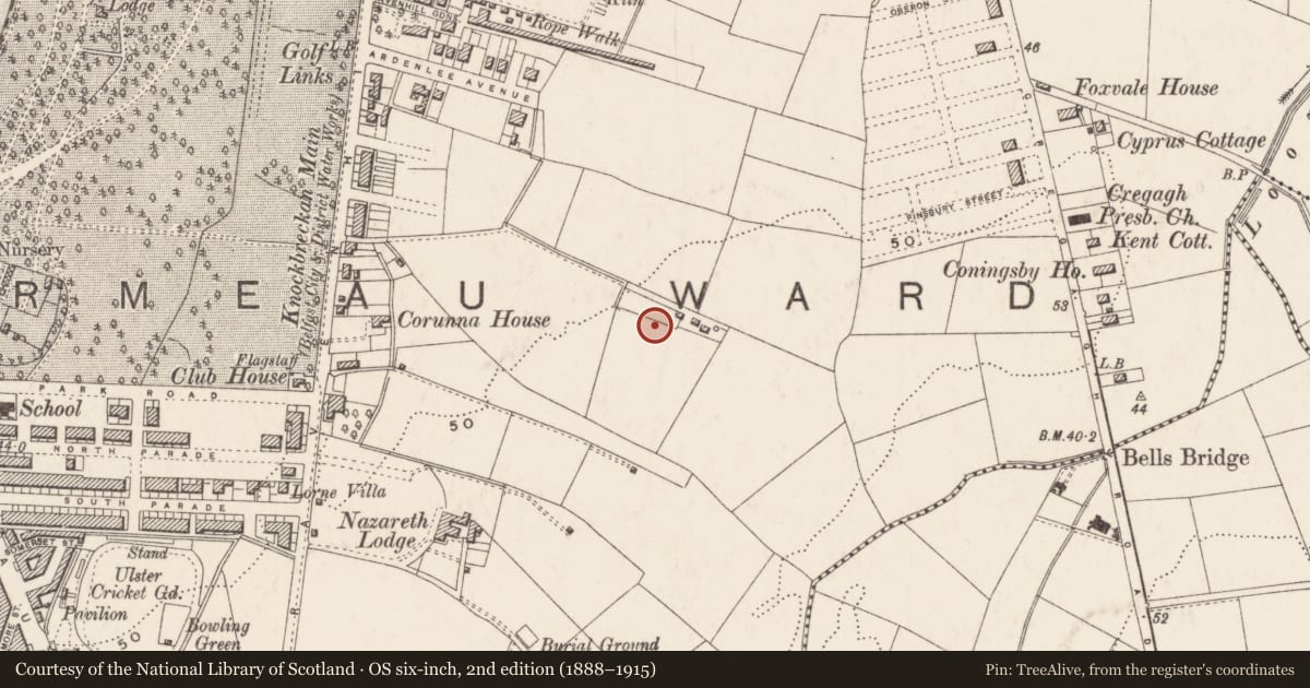 Ordnance Survey six-inch map, 2nd edition (1888–1915) covering the location of Pavilion, Ballynafoy, Belfast, with a pin at the register's coordinates