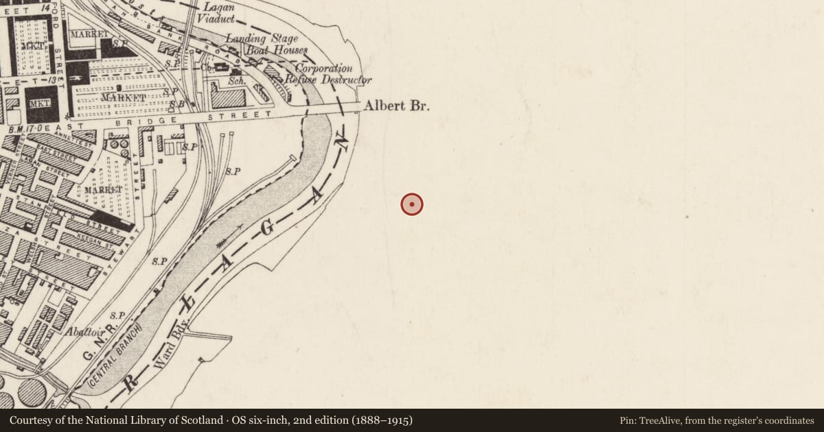 Ordnance Survey six-inch map, 2nd edition (1888–1915) covering the location of 'Charles Tennant & Co Ltd.', Ballymacarret, Belfast, with a pin at the register's coordinates