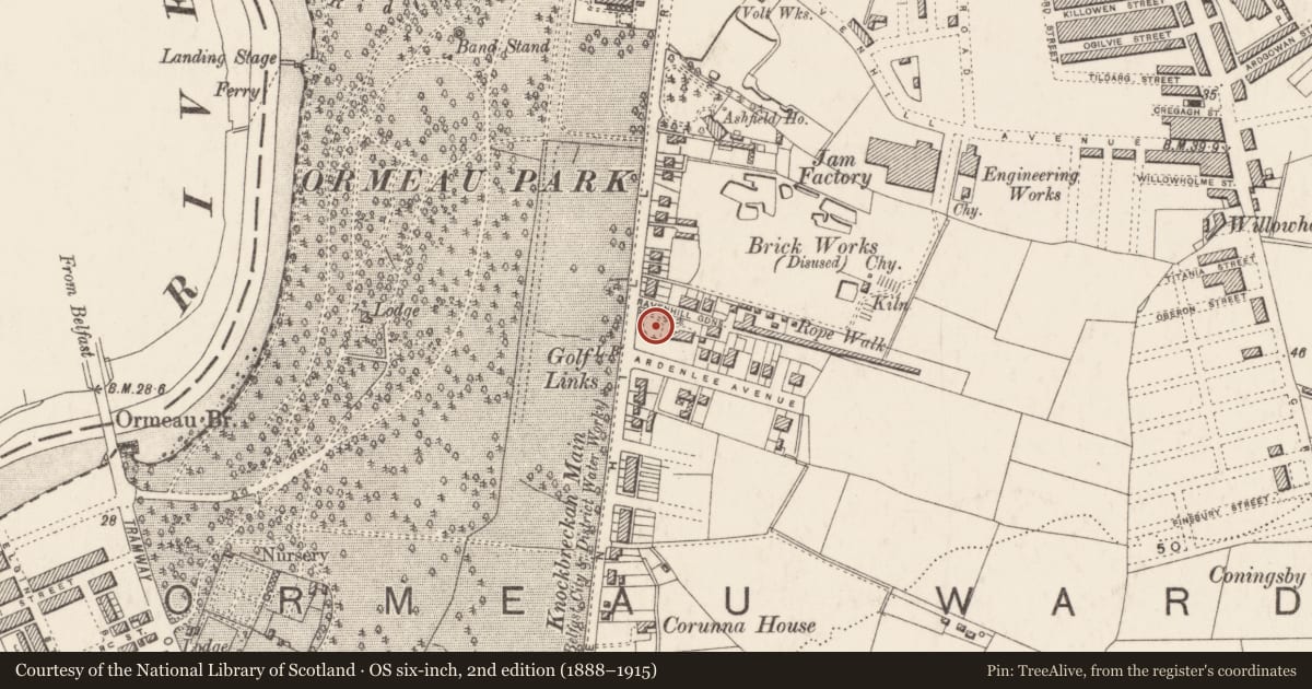 Ordnance Survey six-inch map, 2nd edition (1888–1915) covering the location of Martyrs Memorial Free Presbyterian Church, Ballynafoy, Belfast, with a pin at the register's coordinates