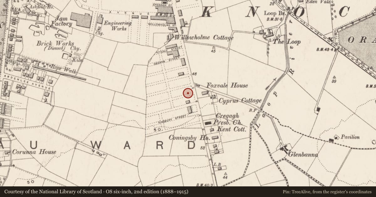 Ordnance Survey six-inch map, 2nd edition (1888–1915) covering the location of Harding Memorial Primary School, Ballymaconaghy, Belfast, with a pin at the register's coordinates