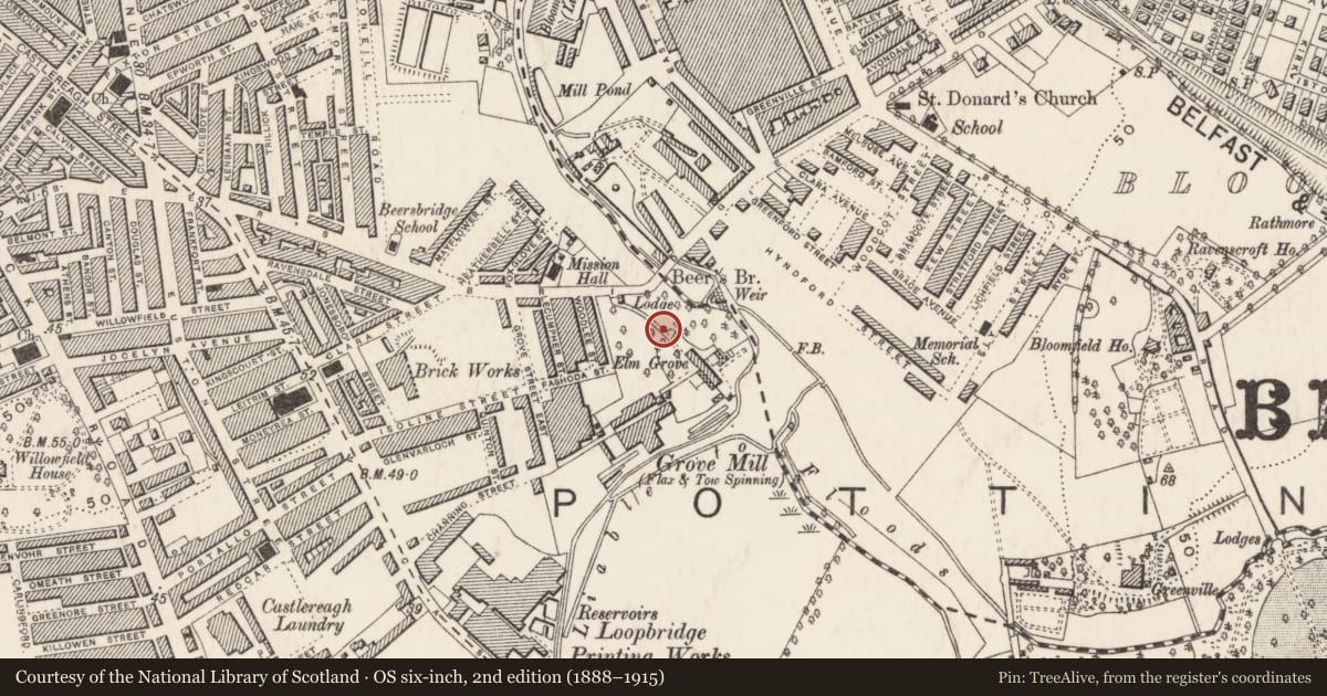 Ordnance Survey six-inch map, 2nd edition (1888–1915) covering the location of Elmgrove Primary School, Ballymacarret, Belfast, with a pin at the register's coordinates