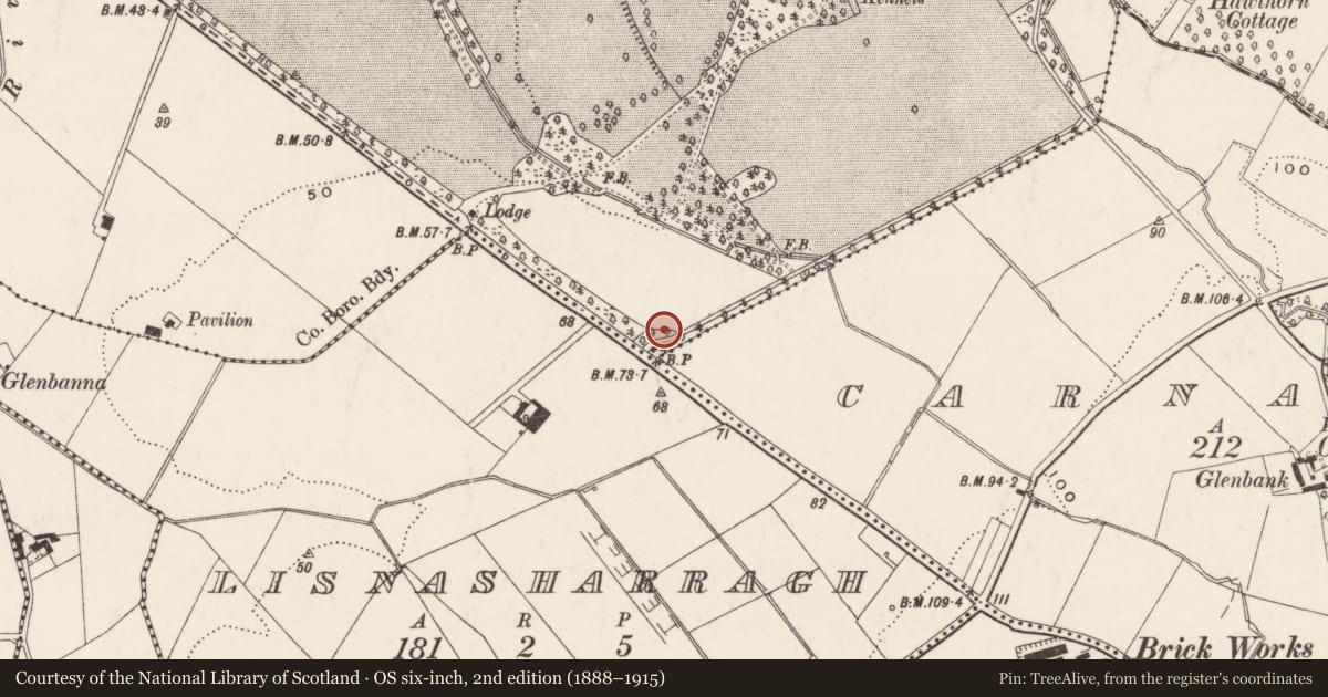 Ordnance Survey six-inch map, 2nd edition (1888–1915) covering the location of Orangefield Presbyterian Church, Belfast, with a pin at the register's coordinates