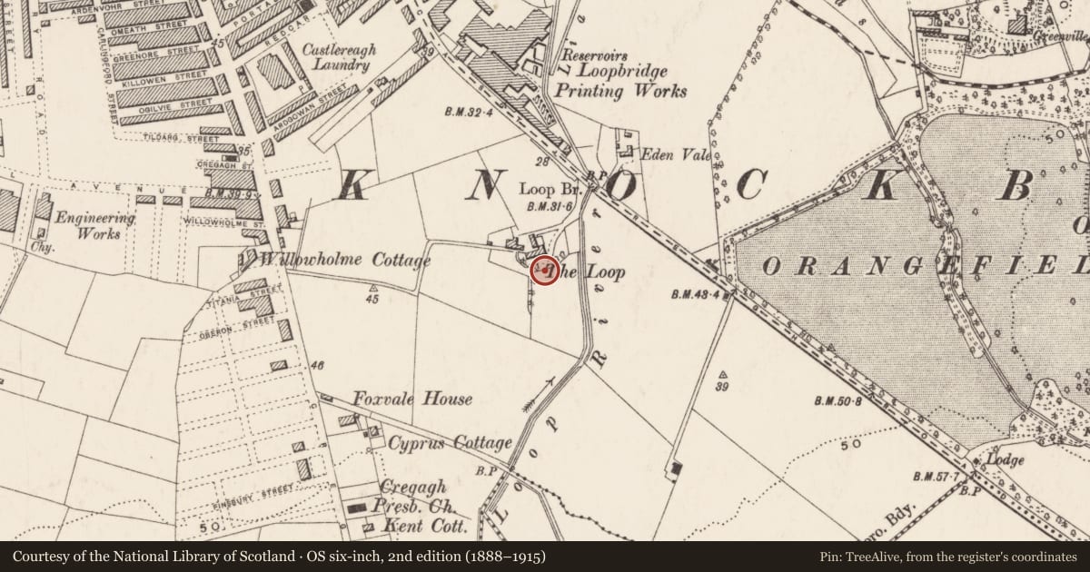Ordnance Survey six-inch map, 2nd edition (1888–1915) covering the location of Gospel Hall, Ballymaconaghy, Belfast, with a pin at the register's coordinates