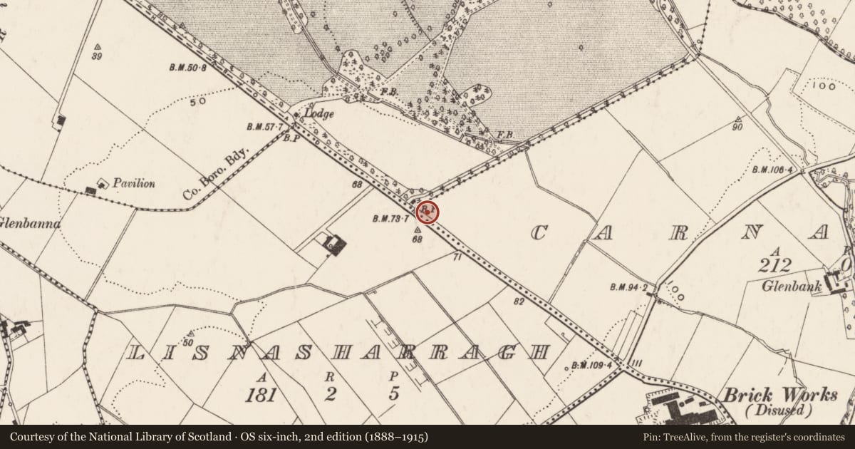 Ordnance Survey six-inch map, 2nd edition (1888–1915) covering the location of Boundary Marker, Orangefield Presbyterian Church, 464 Castlereagh Road, Belfast, BT5 6BH, Carnamuck, Belfast, with a pin at the register's coordinates