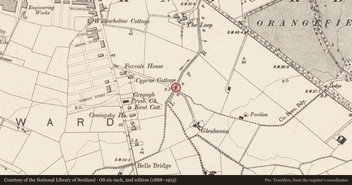 Ordnance Survey six-inch map, 2nd edition (1888–1915) covering the location of Boundary Marker, Ladas Way/Ladas Park, Belfast, BT6 9FR, Ballymaconaghy, Belfast, with a pin at the register's coordinates