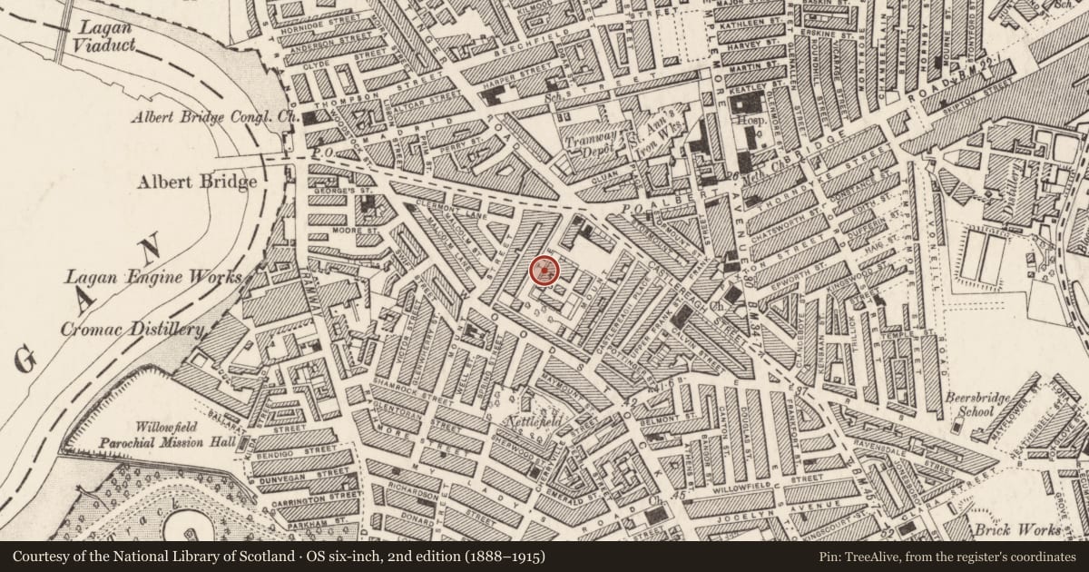 Ordnance Survey six-inch map, 2nd edition (1888–1915) covering the location of 22 The Mount, Belfast, with a pin at the register's coordinates