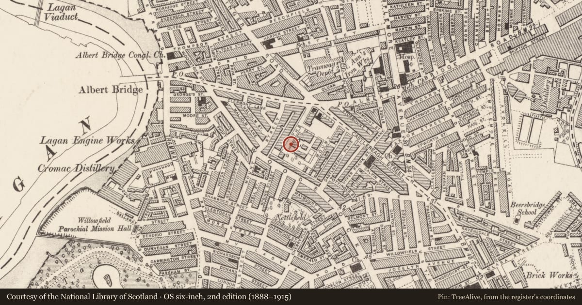 Ordnance Survey six-inch map, 2nd edition (1888–1915) covering the location of 78 The Mount, Belfast, with a pin at the register's coordinates