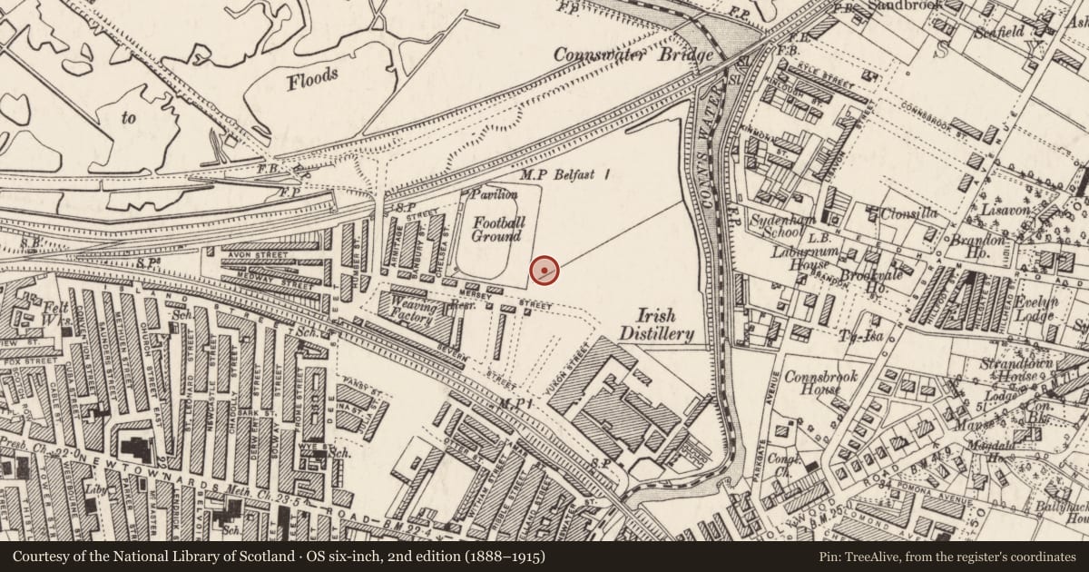Ordnance Survey six-inch map, 2nd edition (1888–1915) covering the location of Mersey Street Primary School, Ballymacarrett, Belfast, with a pin at the register's coordinates