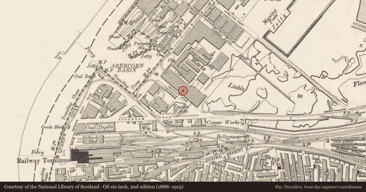 Ordnance Survey six-inch map, 2nd edition (1888–1915) covering the location of Abercorn Works sheds (Harland & Wolff), Ballymacarrett, Belfast, with a pin at the register's coordinates