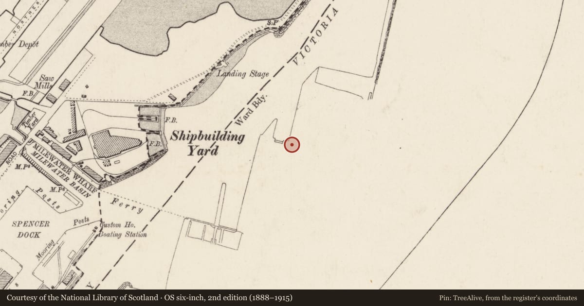 Ordnance Survey six-inch map, 2nd edition (1888–1915) covering the location of Pump House, Ballymacarrett, Belfast, with a pin at the register's coordinates