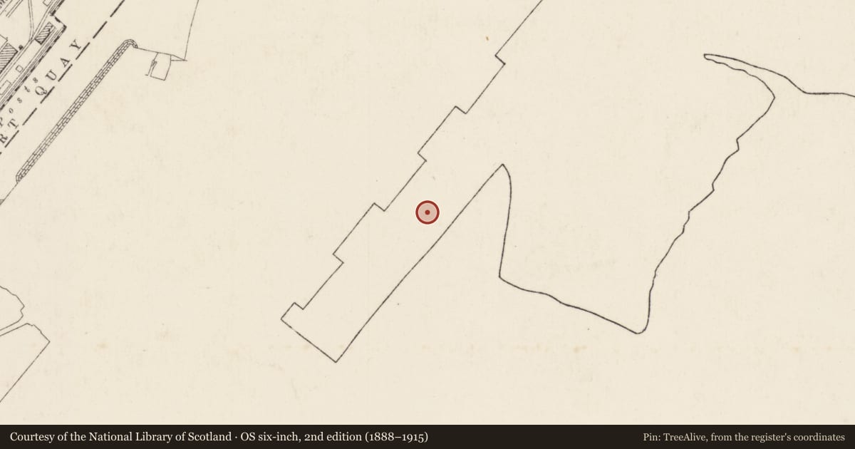 Ordnance Survey six-inch map, 2nd edition (1888–1915) covering the location of Factory, Ballymacarret, Belfast, with a pin at the register's coordinates