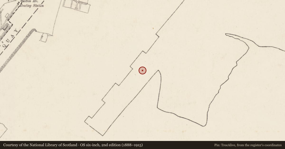Ordnance Survey six-inch map, 2nd edition (1888–1915) covering the location of Factory, Ballymacarret, Belfast, with a pin at the register's coordinates