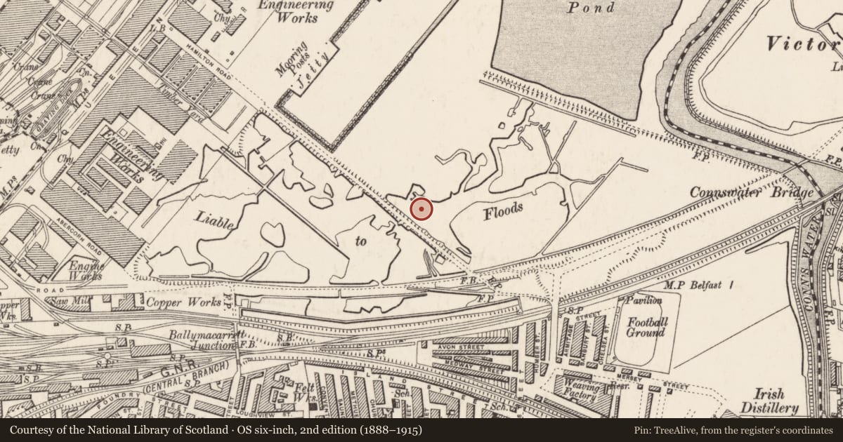 Ordnance Survey six-inch map, 2nd edition (1888–1915) covering the location of Sheds beside Hamilton Road, Ballymacarret, Belfast, with a pin at the register's coordinates