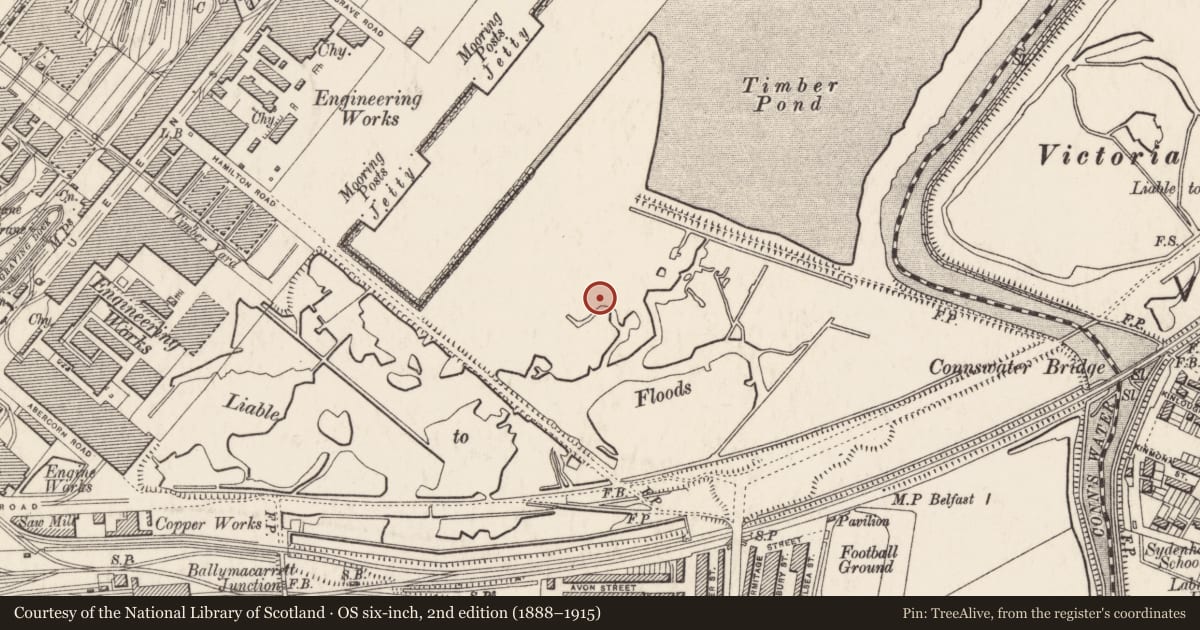 Ordnance Survey six-inch map, 2nd edition (1888–1915) covering the location of Fabrication Shop beside Building Dock, Ballymacarret, Belfast, with a pin at the register's coordinates