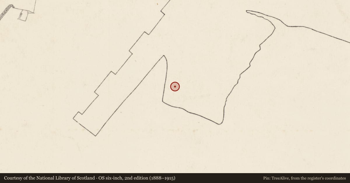 Ordnance Survey six-inch map, 2nd edition (1888–1915) covering the location of Blocking Shop beside Building Dock, Ballymacarret, Belfast, with a pin at the register's coordinates