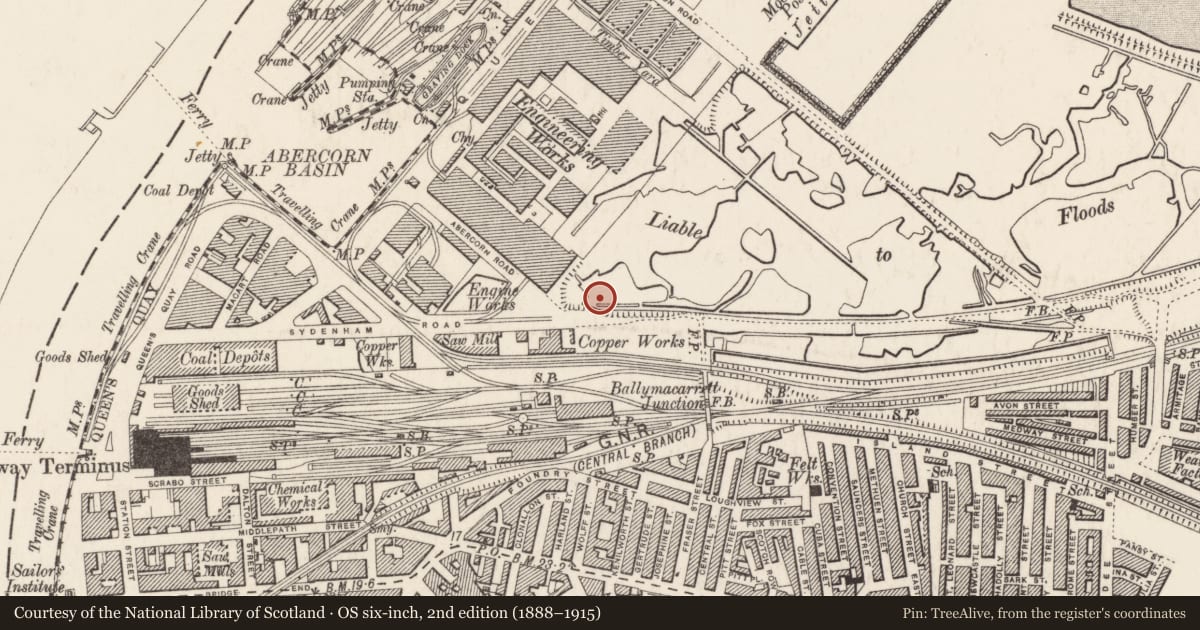 Ordnance Survey six-inch map, 2nd edition (1888–1915) covering the location of Gates 1-5, Ballymacarrett, Belfast, with a pin at the register's coordinates
