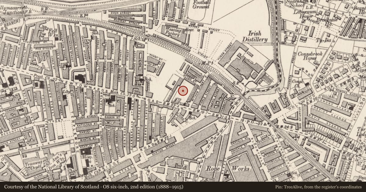 Ordnance Survey six-inch map, 2nd edition (1888–1915) covering the location of Portview Trading Estate, Ballymacarret, Belfast, with a pin at the register's coordinates