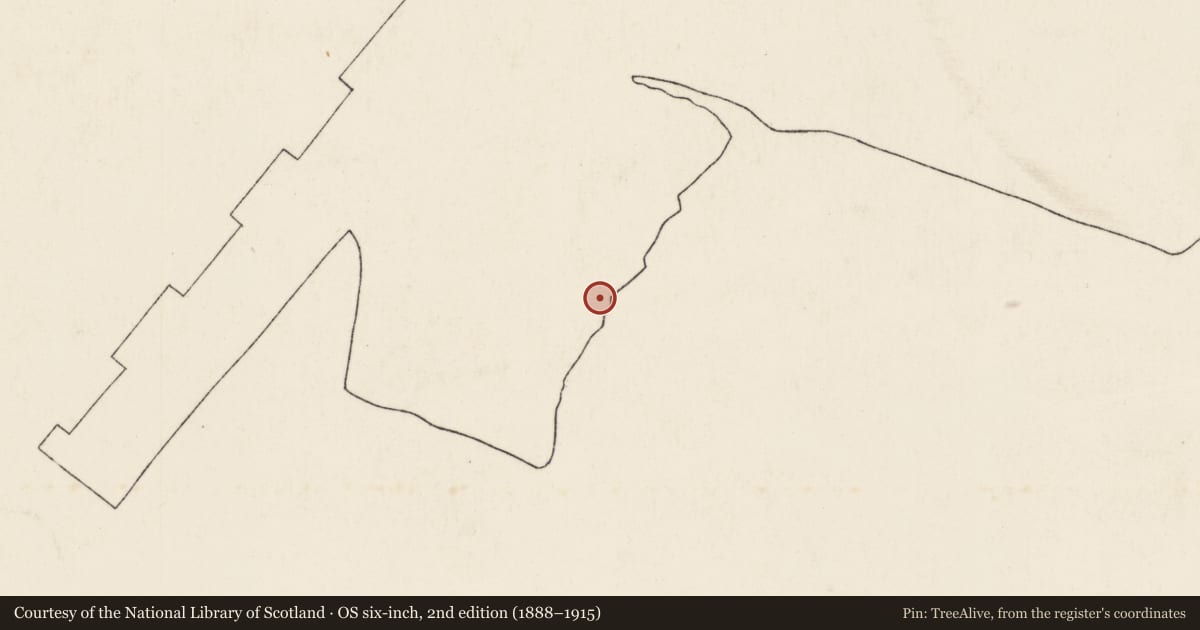 Ordnance Survey six-inch map, 2nd edition (1888–1915) covering the location of Former Short Brothers HQ, Ballymacarrett, Belfast, with a pin at the register's coordinates