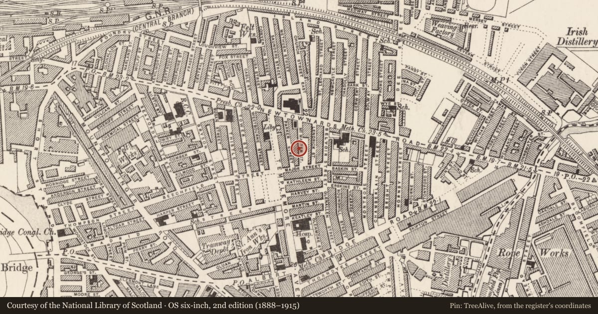 Ordnance Survey six-inch map, 2nd edition (1888–1915) covering the location of 31 McMaster Street, Ballymacarrett, Belfast, with a pin at the register's coordinates