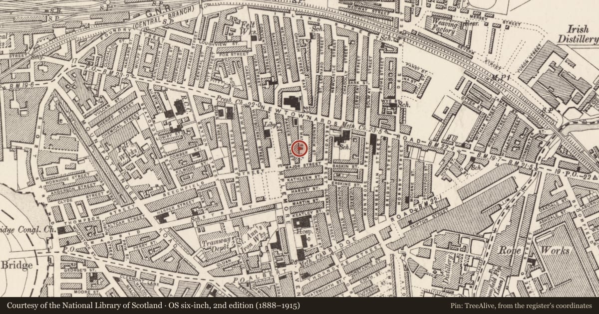 Ordnance Survey six-inch map, 2nd edition (1888–1915) covering the location of 33 McMaster Street, Ballymacarrett, Belfast, with a pin at the register's coordinates