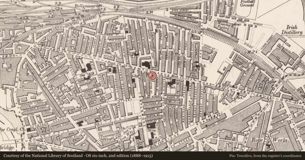 Ordnance Survey six-inch map, 2nd edition (1888–1915) covering the location of 8 McMaster Street, Ballymacarrett, Belfast, with a pin at the register's coordinates