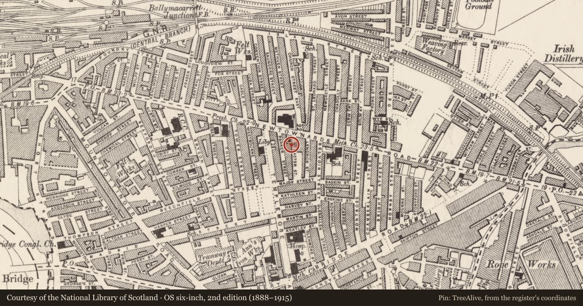 Ordnance Survey six-inch map, 2nd edition (1888–1915) covering the location of 9 McMaster Street, Ballymacarrett, Belfast, with a pin at the register's coordinates