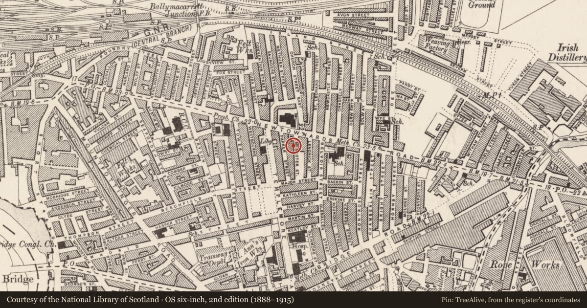 Ordnance Survey six-inch map, 2nd edition (1888–1915) covering the location of 11 McMaster Street, Ballymacarrett, Belfast, with a pin at the register's coordinates