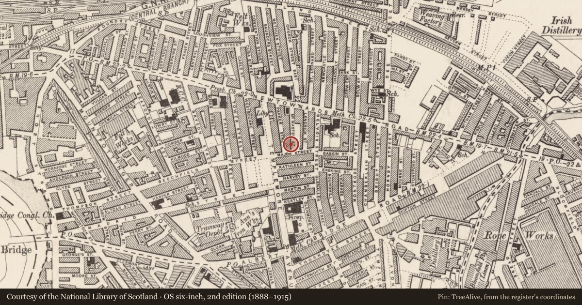 Ordnance Survey six-inch map, 2nd edition (1888–1915) covering the location of 37 McMaster Street, Ballymacarrett, Belfast, with a pin at the register's coordinates